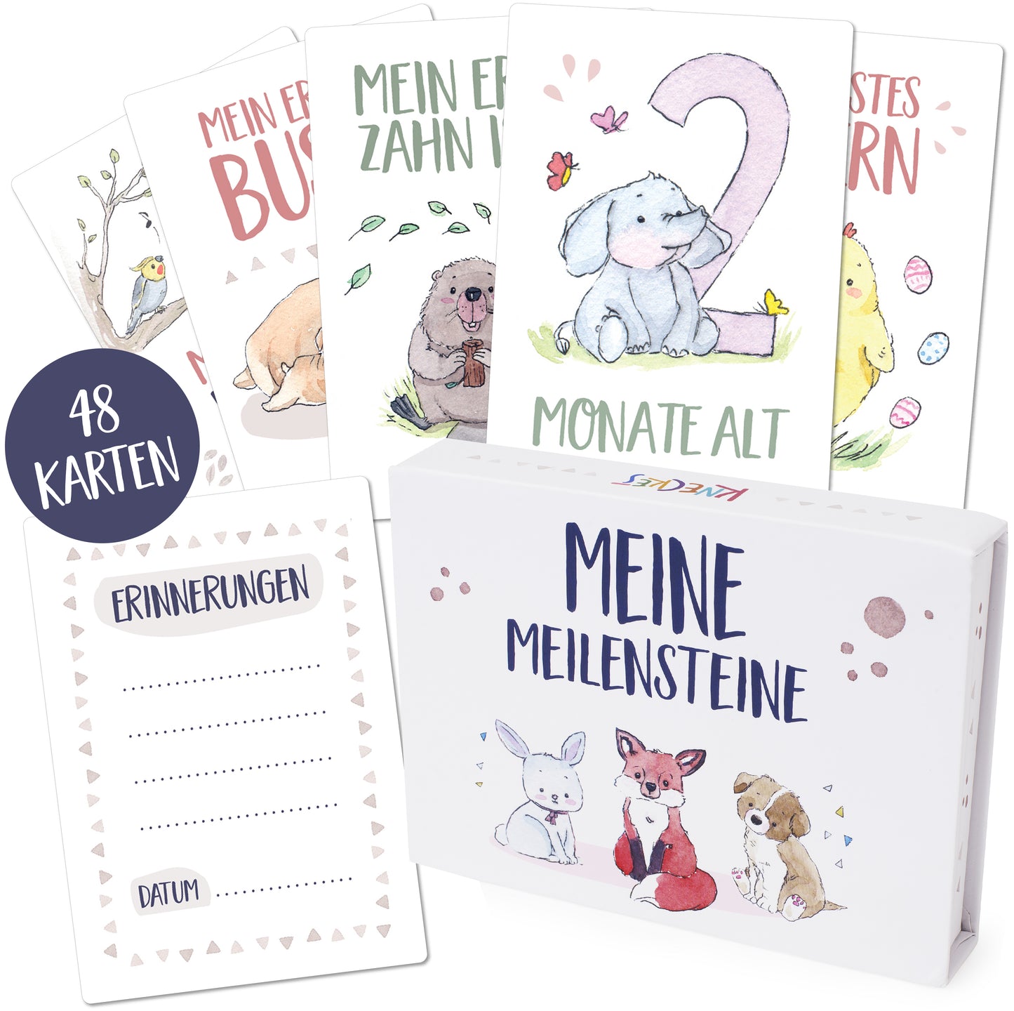 KNECKES 48 hochwertige Baby Meilensteinkarten inkl. schöner Geschenkbox