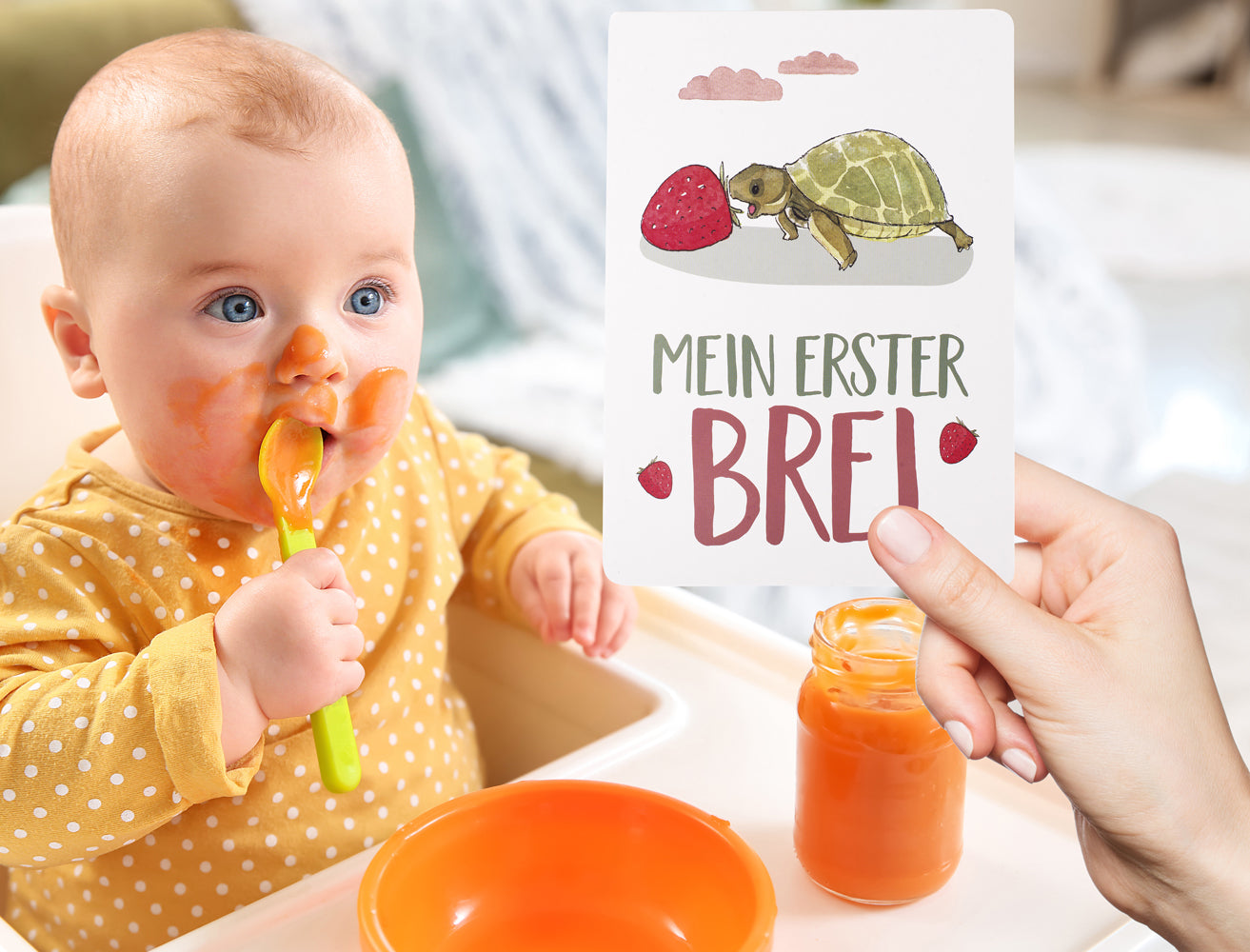 KNECKES 48 hochwertige Baby Meilensteinkarten inkl. schöner Geschenkbox